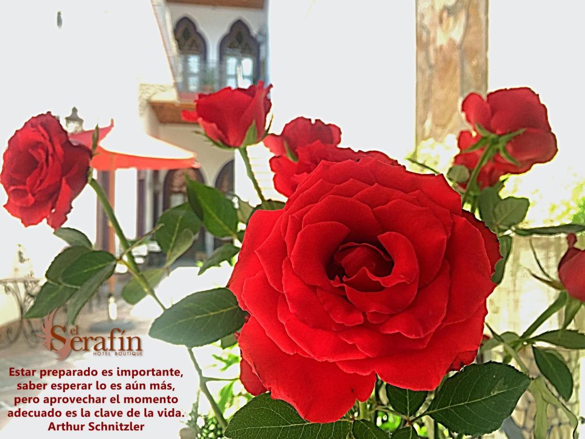 El Serafin Hotel Boutique Queretaro Bagian luar foto